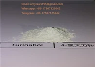 Turinabol CAS 855-19-6 Необработанный порошок тестостерона 4 - Ацетат хлортестостерона