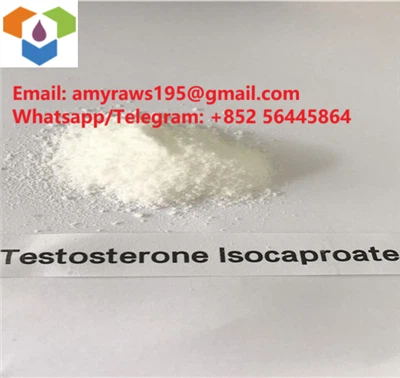 Бодибилдинг Тестостерон Сырой порошок Тестостерон Изокапроат CAS 15262-86-9